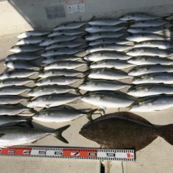 釣り船角田 釣果