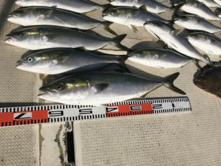 釣り船角田 釣果