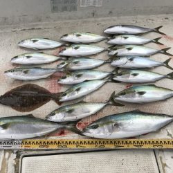 釣り船角田 釣果