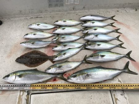 釣り船角田 釣果