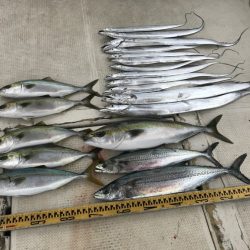 釣り船角田 釣果