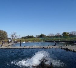 朝霞ガーデン 釣果