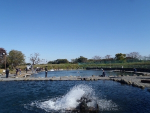 朝霞ガーデン 釣果