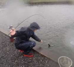 朝霞ガーデン 釣果