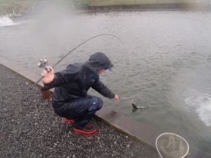 朝霞ガーデン 釣果