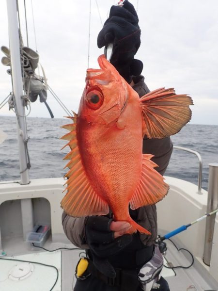 Aquanaut(アクアノート) 釣果