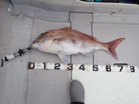 Aquanaut(アクアノート) 釣果