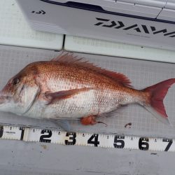 Aquanaut(アクアノート) 釣果