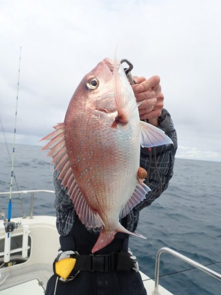 Aquanaut(アクアノート) 釣果