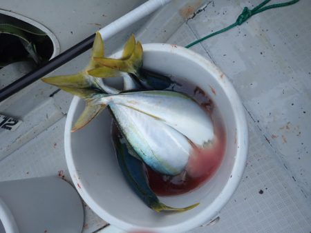 Aquanaut(アクアノート) 釣果