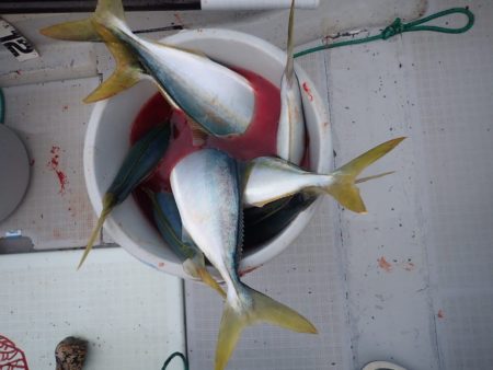 Aquanaut(アクアノート) 釣果