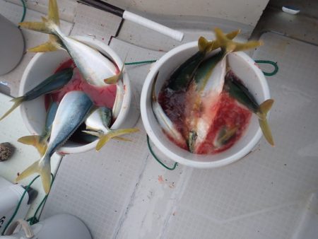 Aquanaut(アクアノート) 釣果