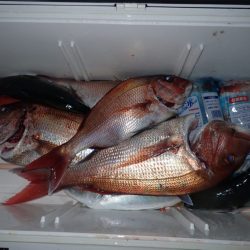 Aquanaut(アクアノート) 釣果