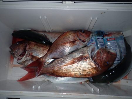 Aquanaut(アクアノート) 釣果