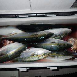 Aquanaut(アクアノート) 釣果