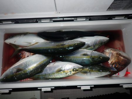 Aquanaut(アクアノート) 釣果