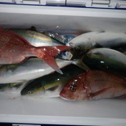 Aquanaut(アクアノート) 釣果