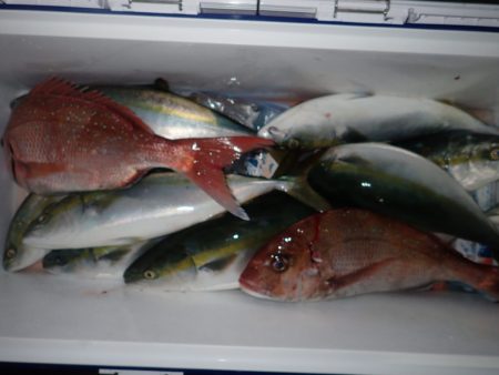 Aquanaut(アクアノート) 釣果