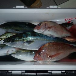 Aquanaut(アクアノート) 釣果