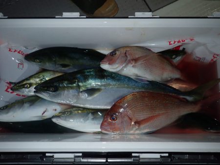 Aquanaut(アクアノート) 釣果