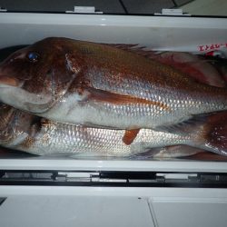 Aquanaut(アクアノート) 釣果