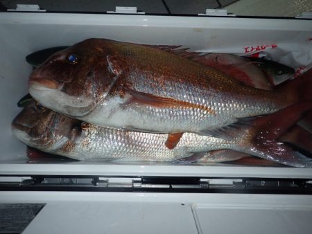 Aquanaut(アクアノート) 釣果