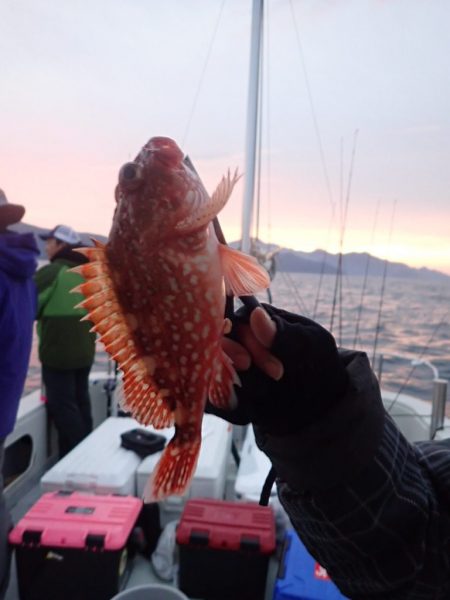 Aquanaut(アクアノート) 釣果