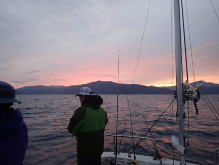 Aquanaut(アクアノート) 釣果