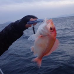 Aquanaut(アクアノート) 釣果