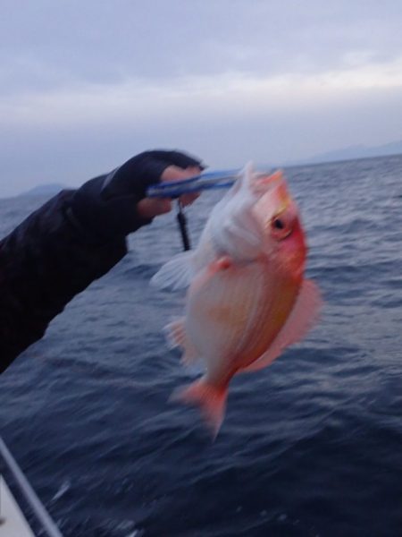 Aquanaut(アクアノート) 釣果