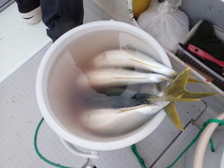 Aquanaut（アクアノート） 釣果