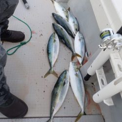 Aquanaut（アクアノート） 釣果