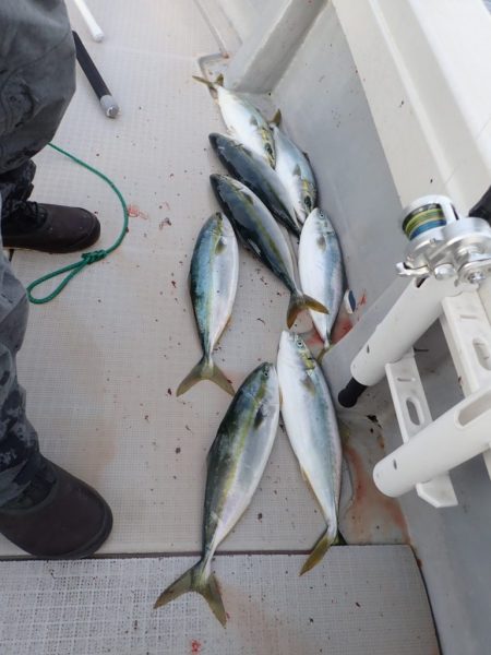 Aquanaut（アクアノート） 釣果