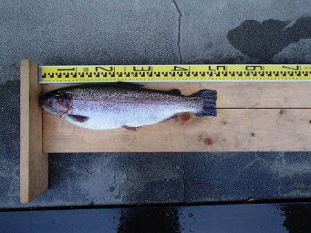 志高湖フィッシング 釣果