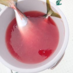 Aquanaut（アクアノート） 釣果