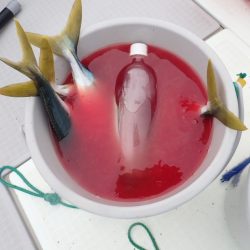 Aquanaut（アクアノート） 釣果