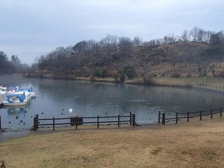 志高湖フィッシング 釣果