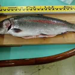 志高湖フィッシング 釣果