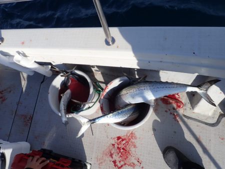 Aquanaut(アクアノート) 釣果