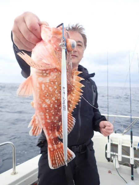 Aquanaut(アクアノート) 釣果