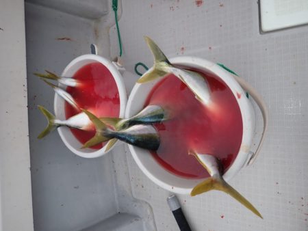 Aquanaut(アクアノート) 釣果