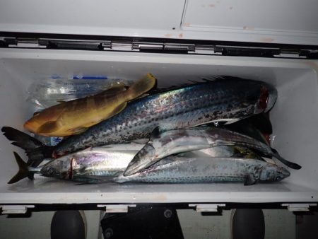 Aquanaut(アクアノート) 釣果