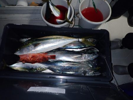 Aquanaut(アクアノート) 釣果