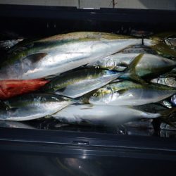 Aquanaut(アクアノート) 釣果