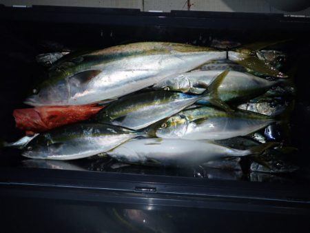 Aquanaut(アクアノート) 釣果