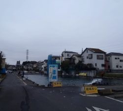 朝霞ガーデン 釣果