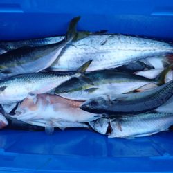 Aquanaut(アクアノート) 釣果