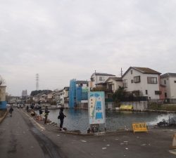 朝霞ガーデン 釣果