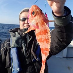 Aquanaut(アクアノート) 釣果