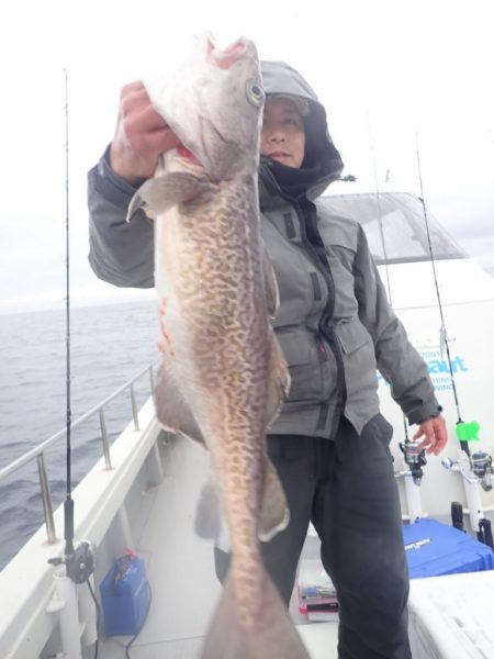 Aquanaut(アクアノート) 釣果